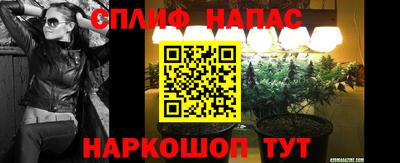 соль ск Пугачёв