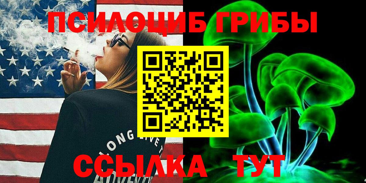 Полысаево  Псилоцибиновые грибы Psilocybine cubensis  Вход с VPN  Псилоцибиновые грибы прущие грибы 